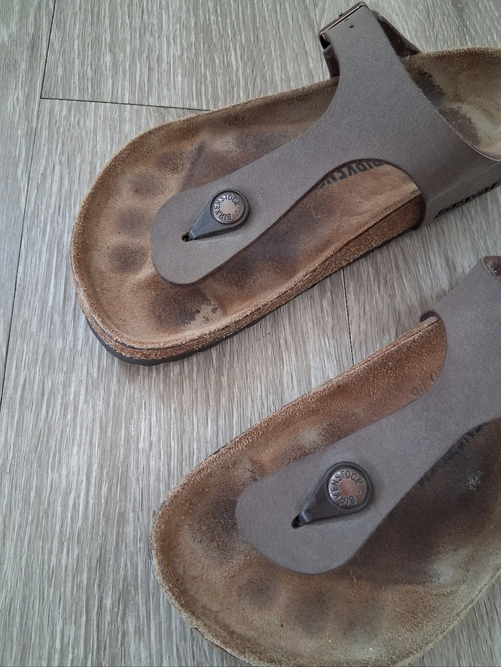 Birkenstock Gizeh Sandal In Mocha 38EU